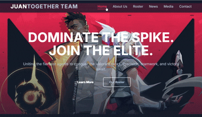 Animated Group Websites Preview